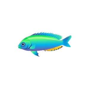 Neon Damselfish